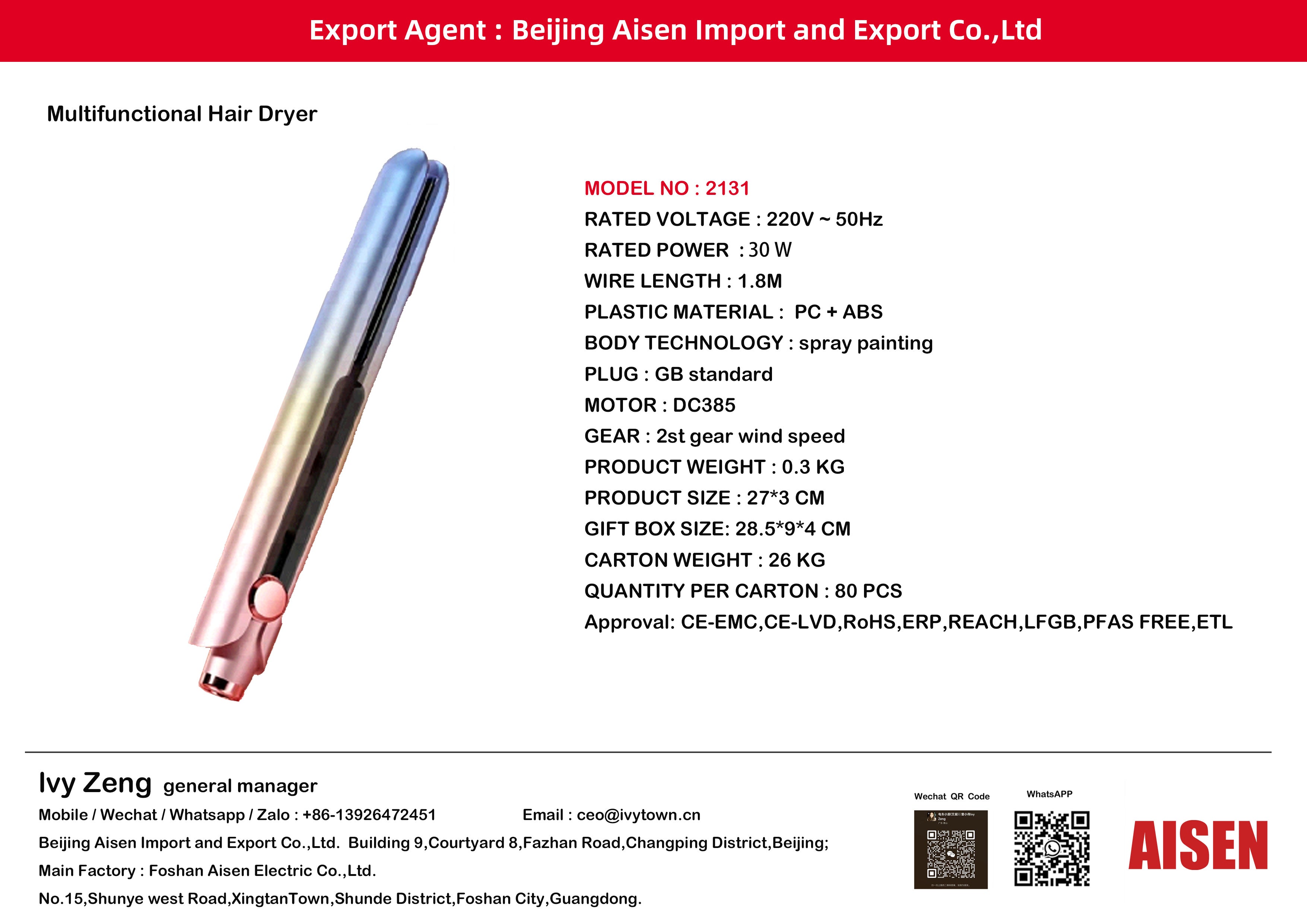 AISEN COMPANY Multifunctional Hair Dryer 2131