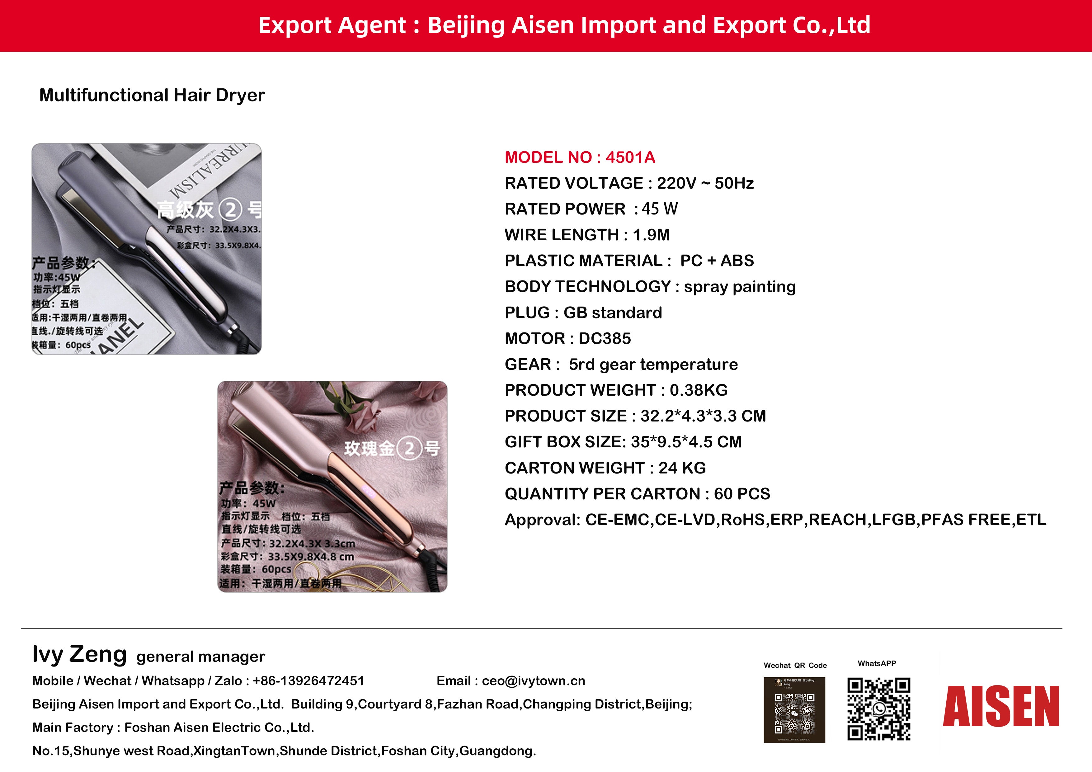 AISEN COMPANY Multifunctional Hair Dryer 4501A