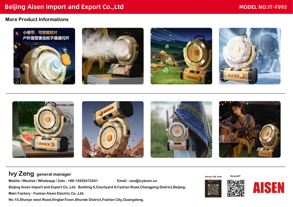 AISEN COMPANY 吹风机 IT-F993