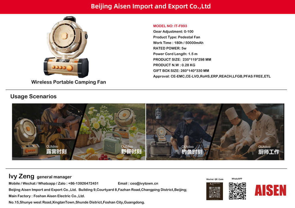 AISEN COMPANY 吹风机 IT-F993