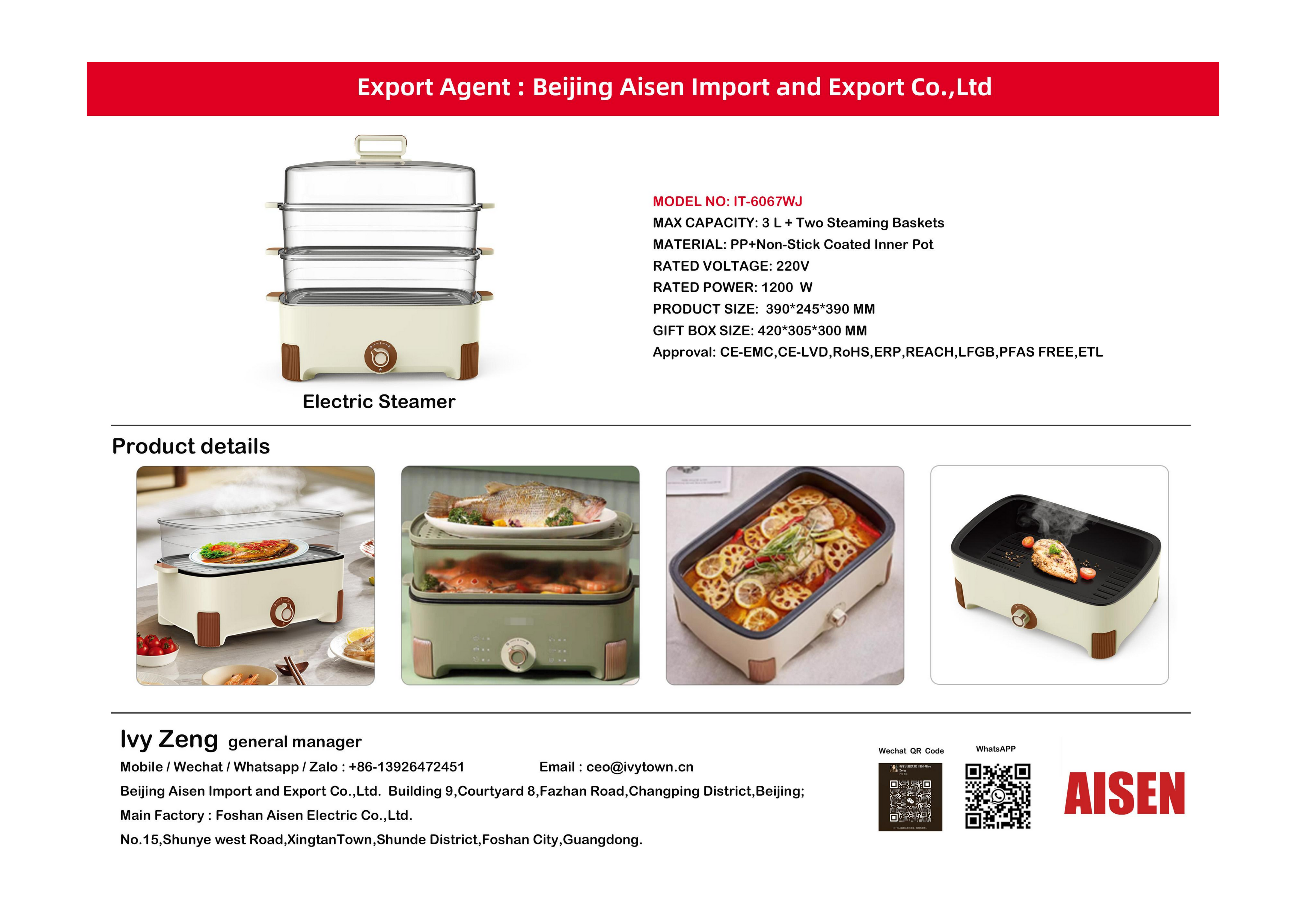 AISEN COMPANY electric steamer  IT-6067WJ
