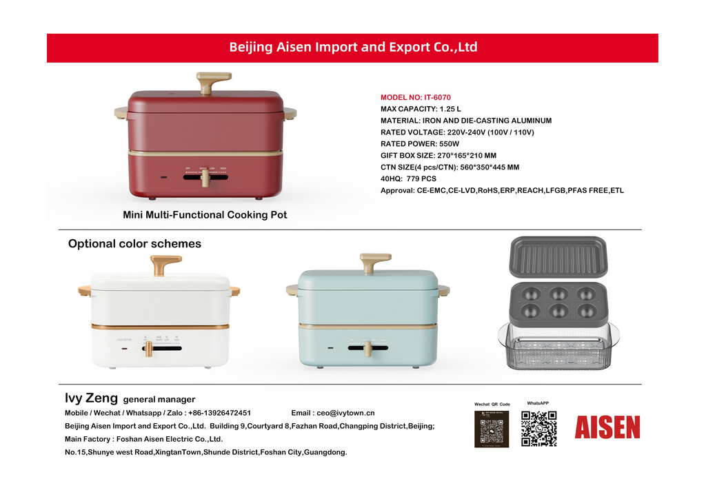 AISEN COMPANY Mini Multi-Functional Cooking Pot IT-6070