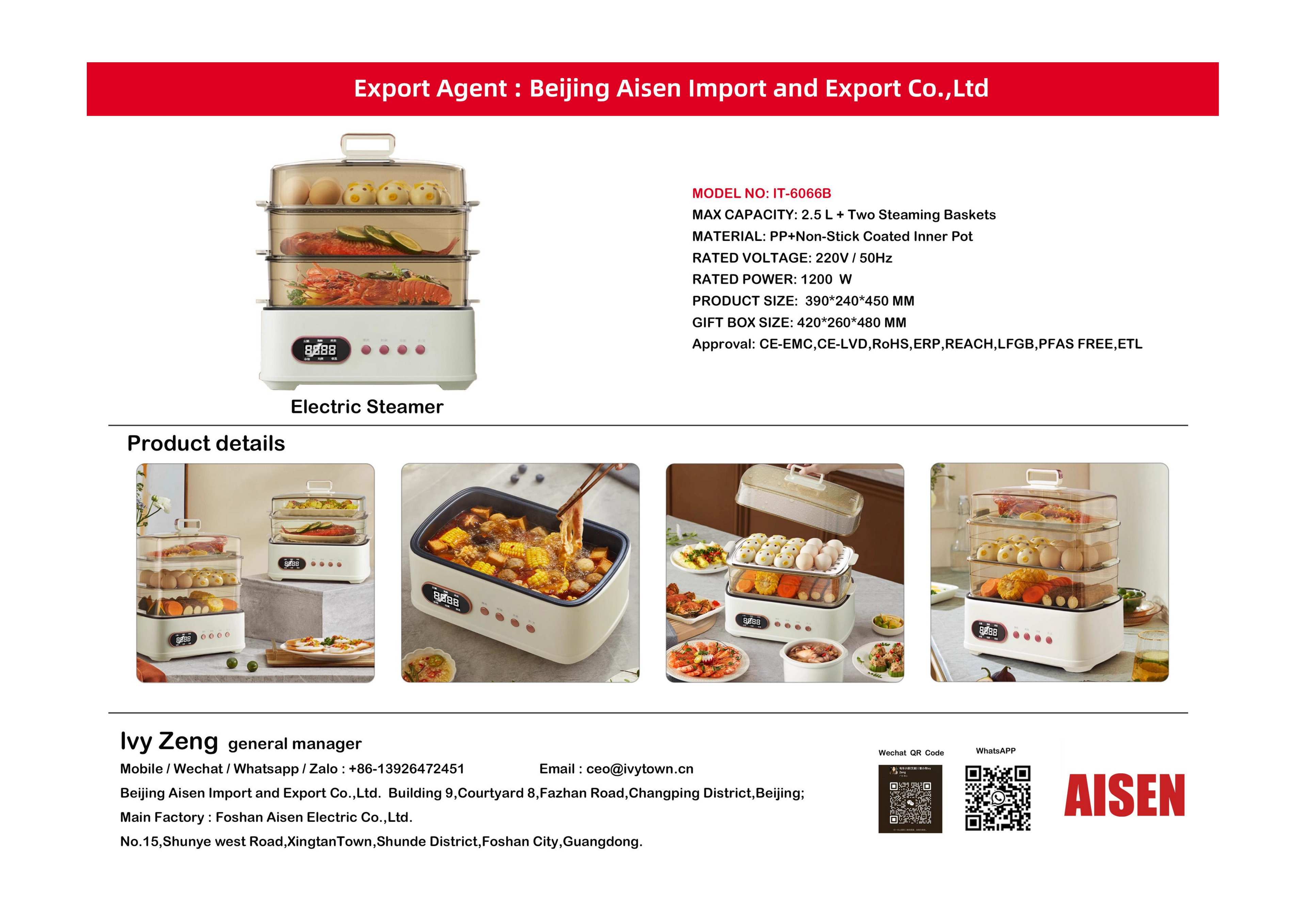 AISEN COMPANY electric steamer  IT-6066B