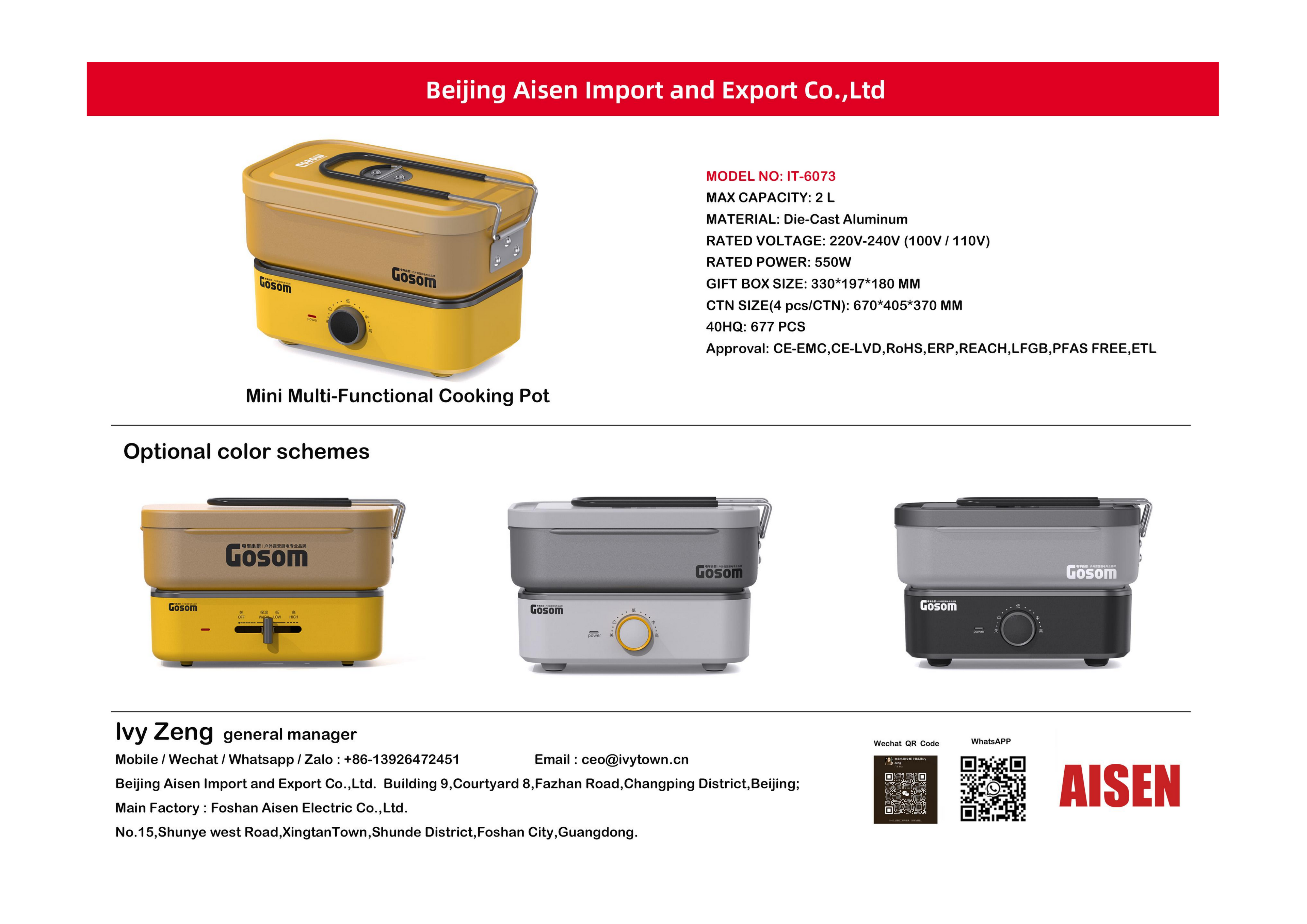 AISEN COMPANY Mini Multi-Functional Cooking Pot IT-6073