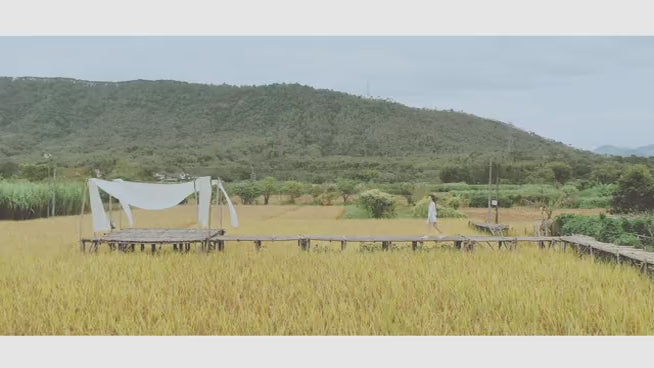 AISEN COMPANY Mini Multi-Functional Cooking Pot IT-6070